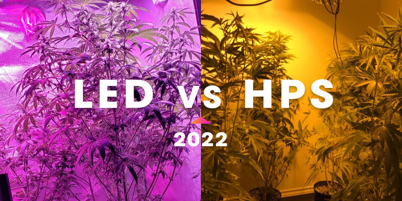 led grow light vs hps