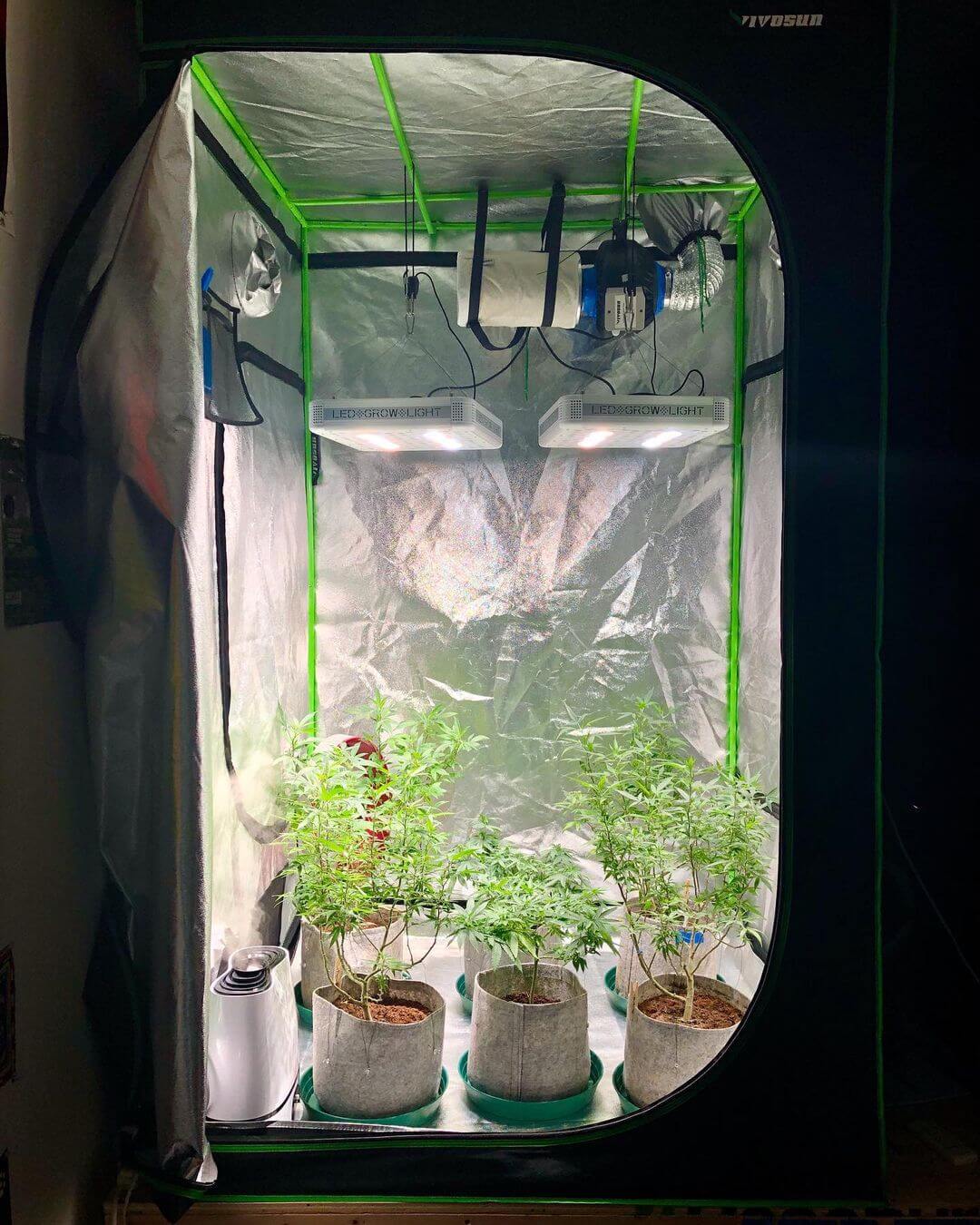 Building A Grow Room: Easier Than You Think!