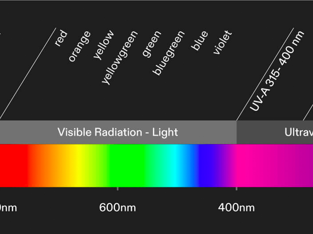 Best light spectrum store for seedlings