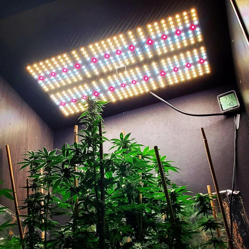 Right Wattage for 4x4 Grow Tent