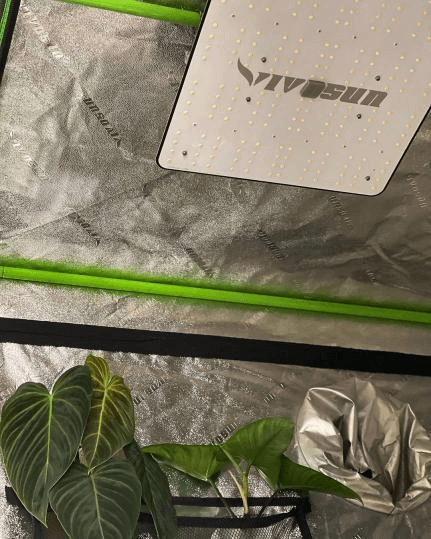 hanging grow lights for indoor plants 