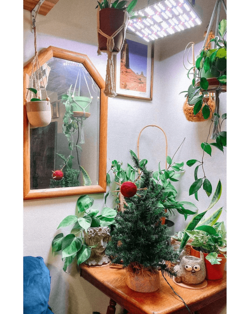 What Type of Grow Light is Best for Indoor Plants