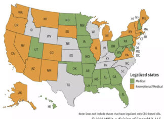 2022 Cannabis Legalization Outlook