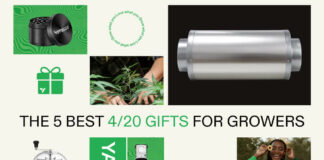 420 Gift Guide