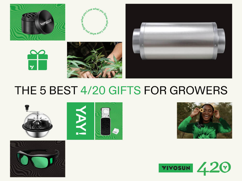 420 Gift Guide