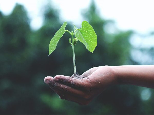 Earth Day