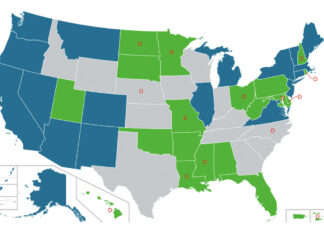 How Many Cannabis Plants Can You Legally Grow