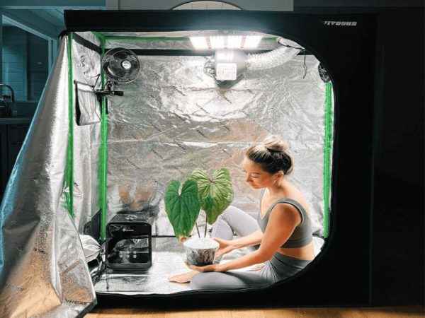 VIVOSUN grow tent