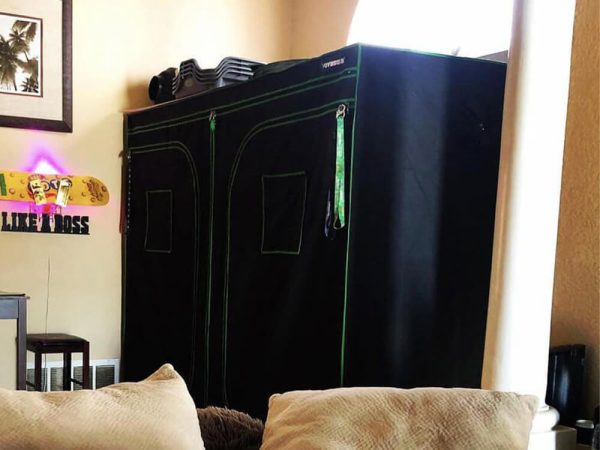 a Grow Room