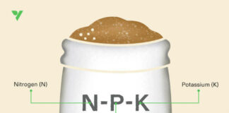 NPK