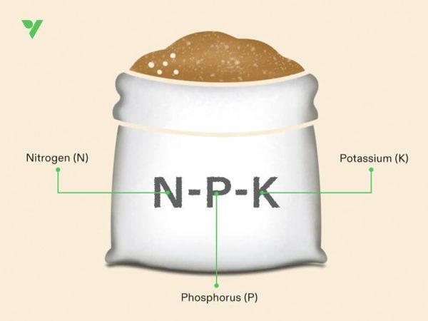 NPK