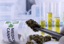 Upcoming and Recent Medical Cannabis Research 2022