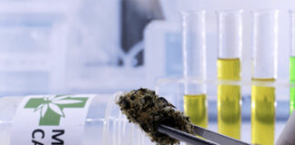 Upcoming and Recent Medical Cannabis Research 2022