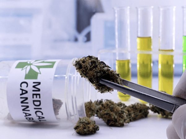 Upcoming and Recent Medical Cannabis Research 2022