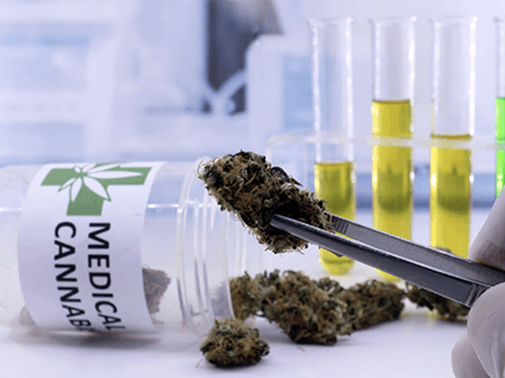 Upcoming And Recent Medical Cannabis Research