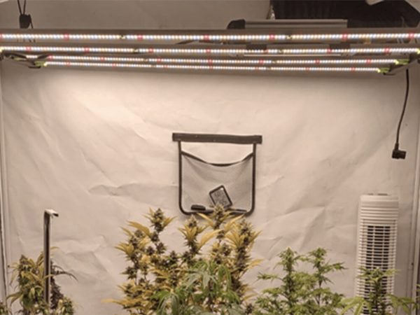 VIVOSUN Bar LED