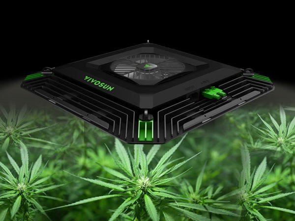grow light type
