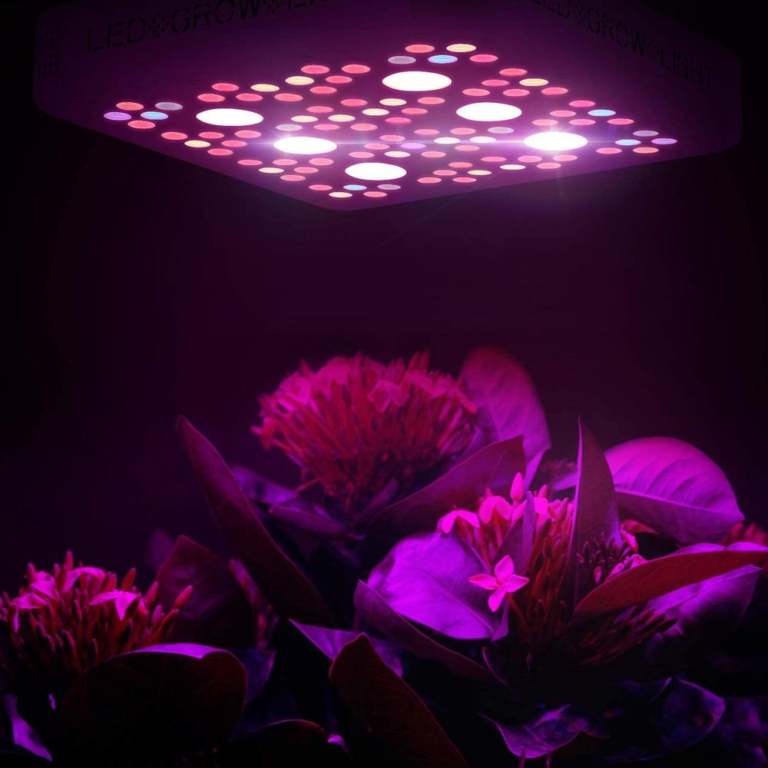 How Far Away Should Lights Be VIVOSUN Growing Guide
