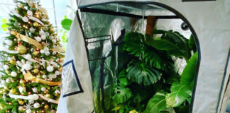 grow tent kits