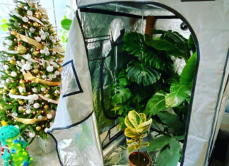 grow tent kits