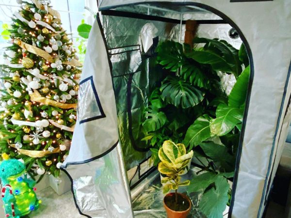 grow tent kits