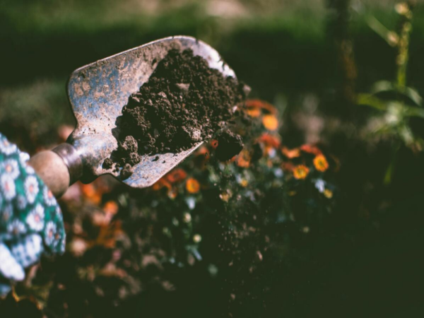 improving the soil in your garden