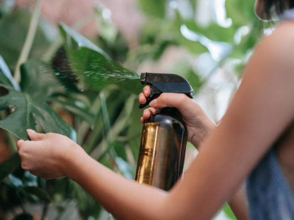 control odor in a grow room