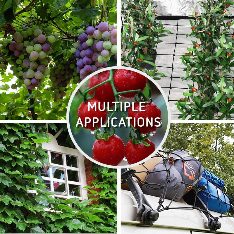 Trellising is important for your plants