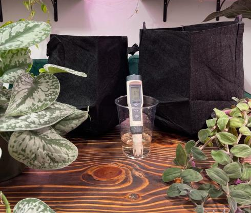 how to clean fabric grow bags