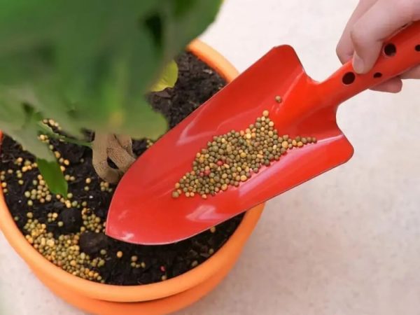 Fix Nutrient Burn