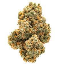 Green Crack-Top 6 Sativa strains