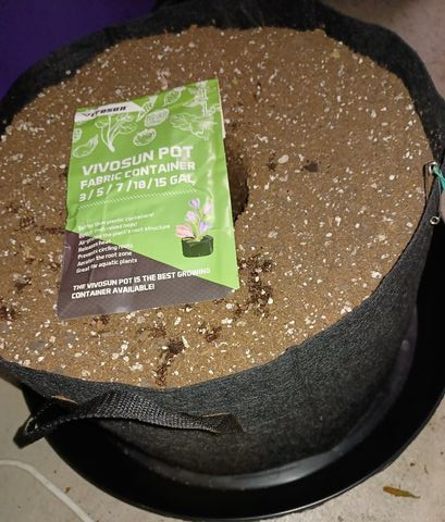 How to Choose Fabric Grow Bags