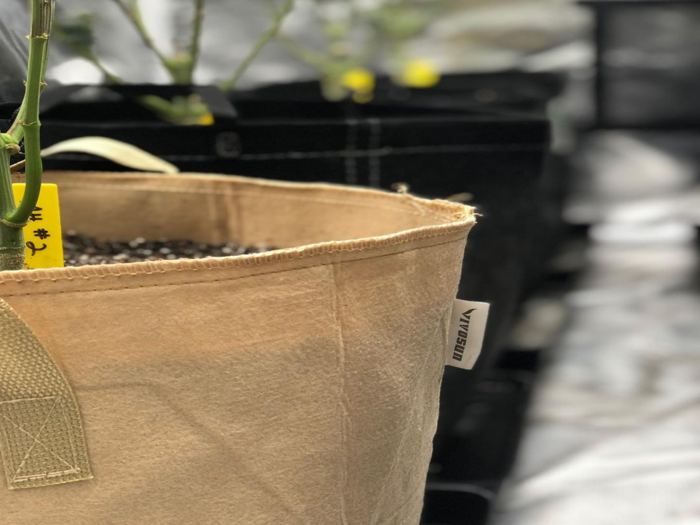 How to Choose Fabric Grow Bags for Gardening?