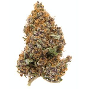 PurpleHaze-Top 6 Sativa strains