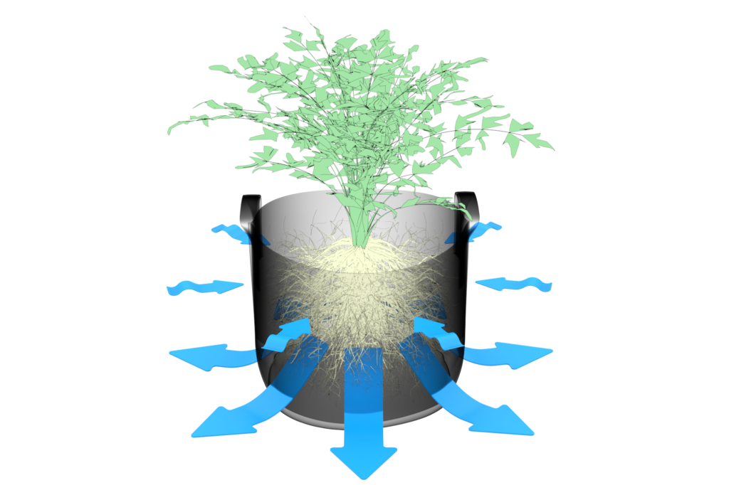 Guide To Air Pruning Containers: Tips On Air Pruning Roots