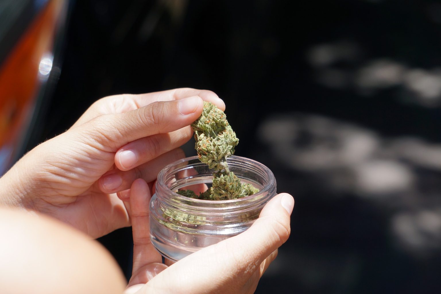 How to Grind Weed without a Grinder Vivosun
