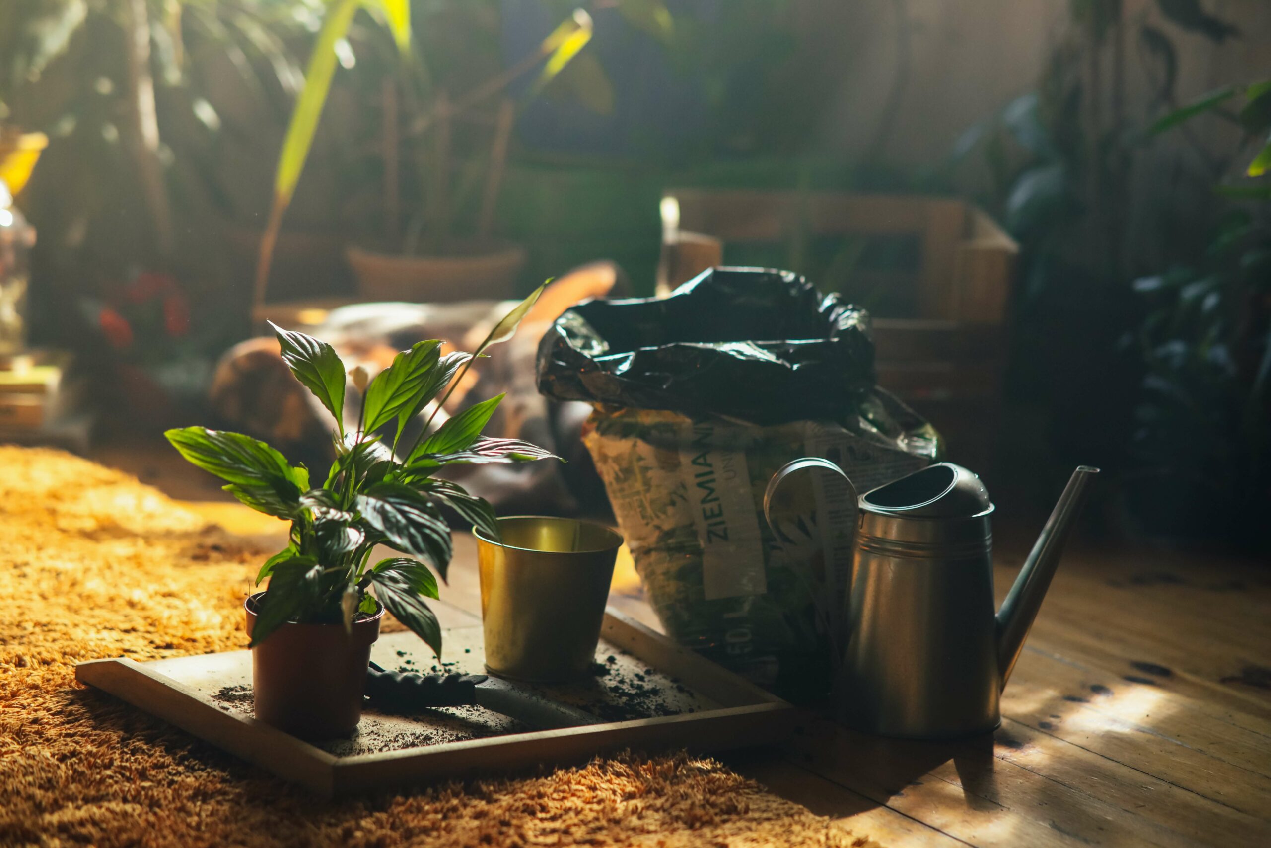 How to Clean a Grow Room