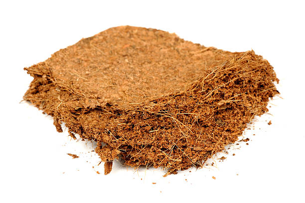 Coco-coir