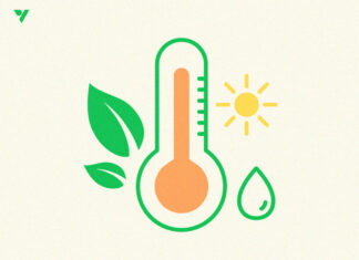 Easy Ways to Control Temperature in a Grow Tent