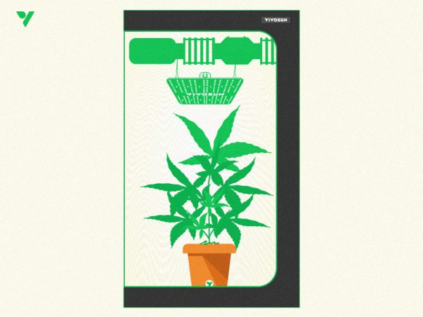 Smart Growing in the Modern Age