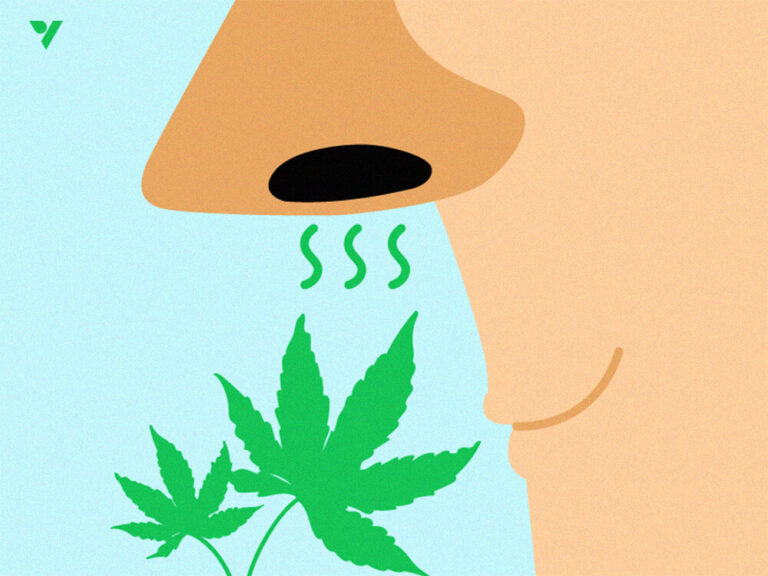 5 ways to control odor in a grow room