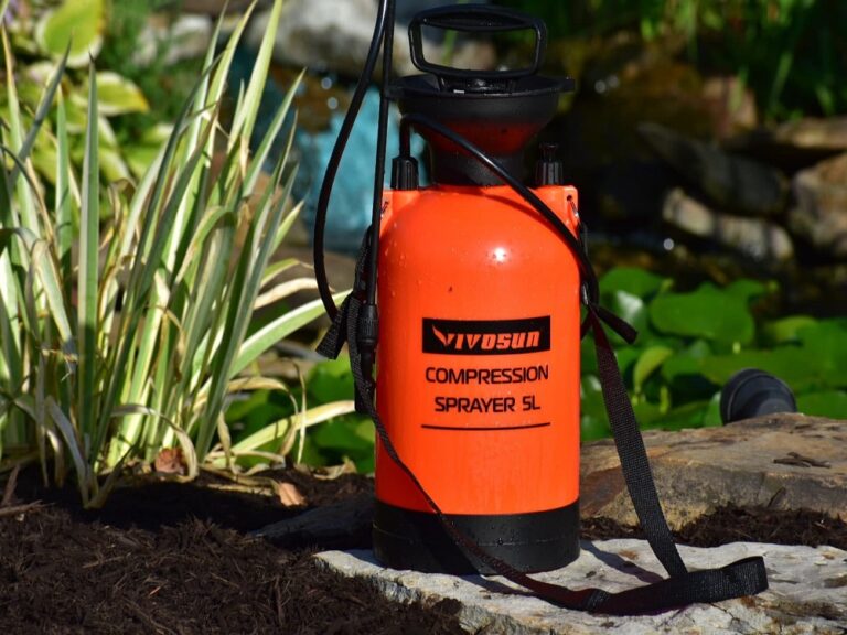 How Often Do You Need to Feed and Water During Flowering?