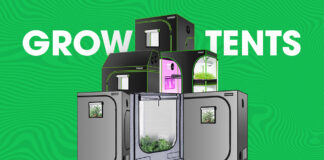 VIVOSUN Grow Tent Featured Image