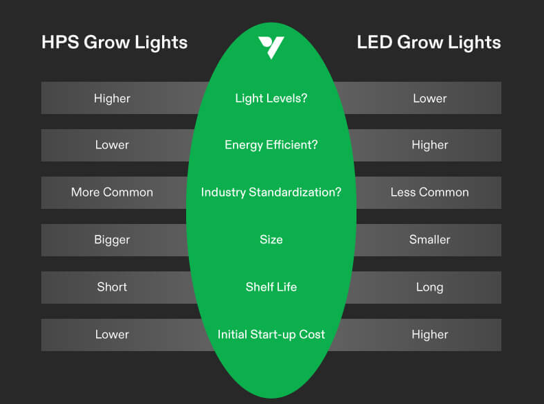 LED Grow Light Buying Guide 2024