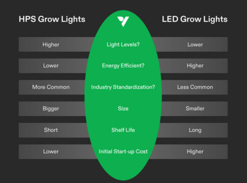 The Vivosun Led Grow Light Buying Guide Growing Guide