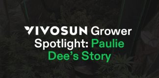 Grower Spotlight Paulie Dee Cover Image