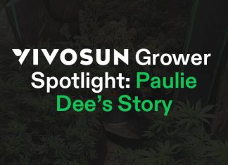 Grower Spotlight Paulie Dee Cover Image