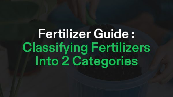 Fertilizer Guide Cover Image