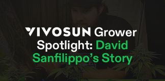 Grower Spotlight David Sanfilippo Cover Image