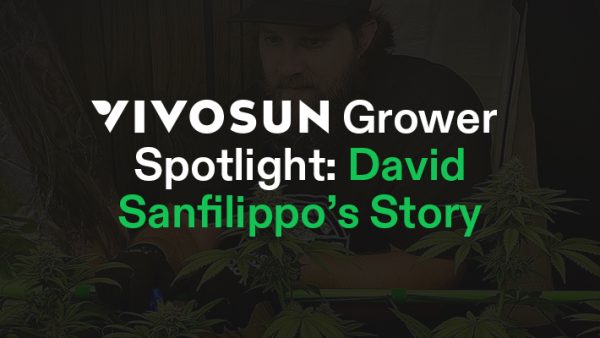 Grower Spotlight David Sanfilippo Cover Image
